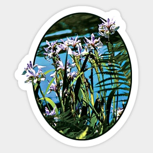 Irises by the Lake Sticker